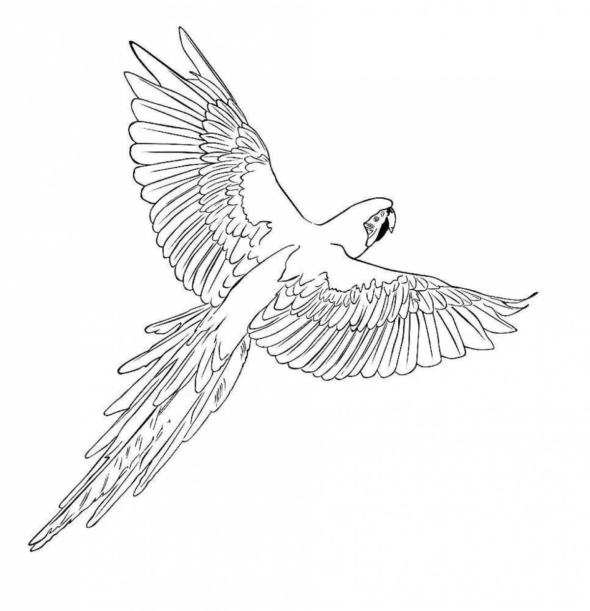 Bright flying birds coloring page