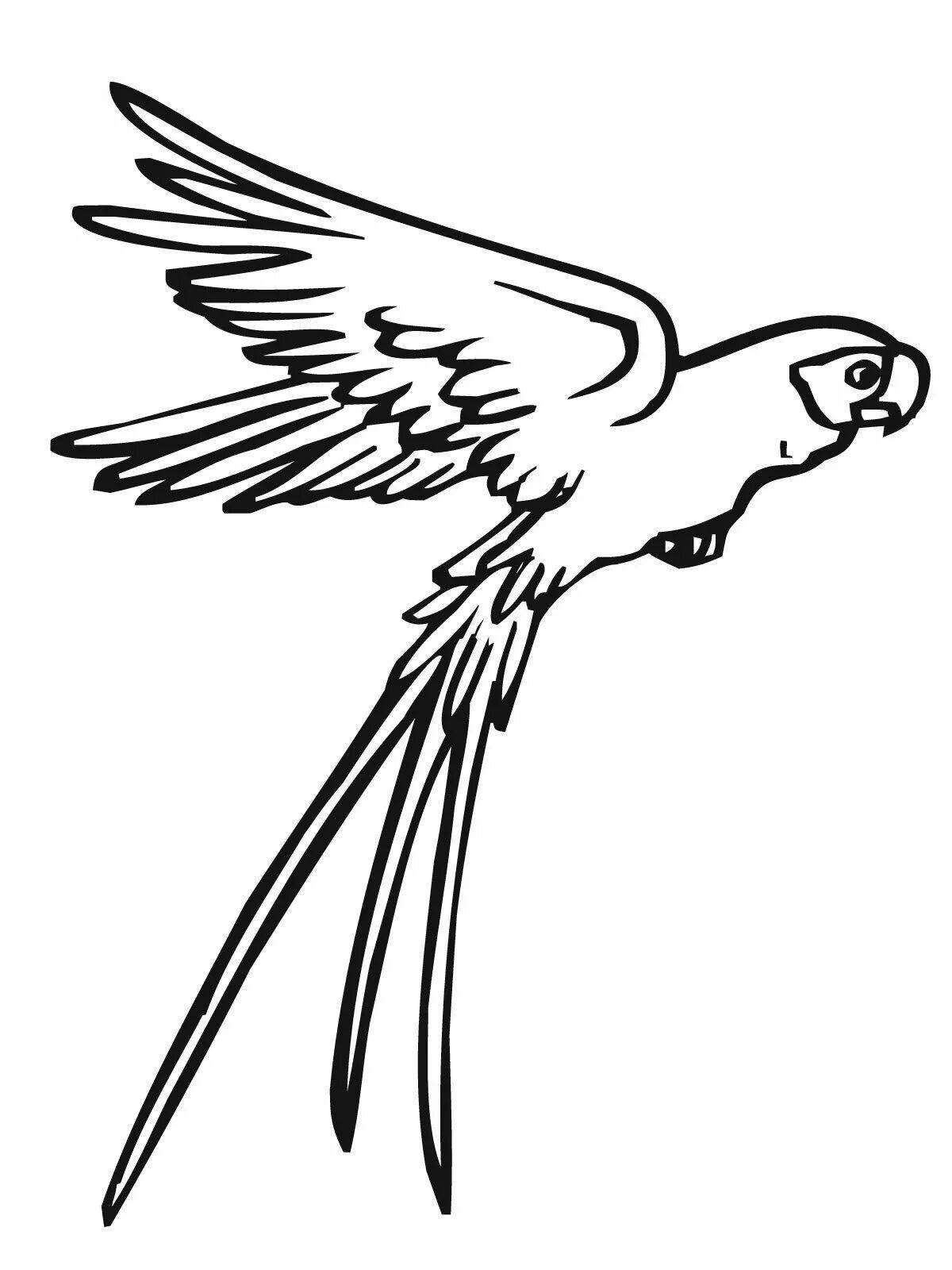 Great flying bird coloring page
