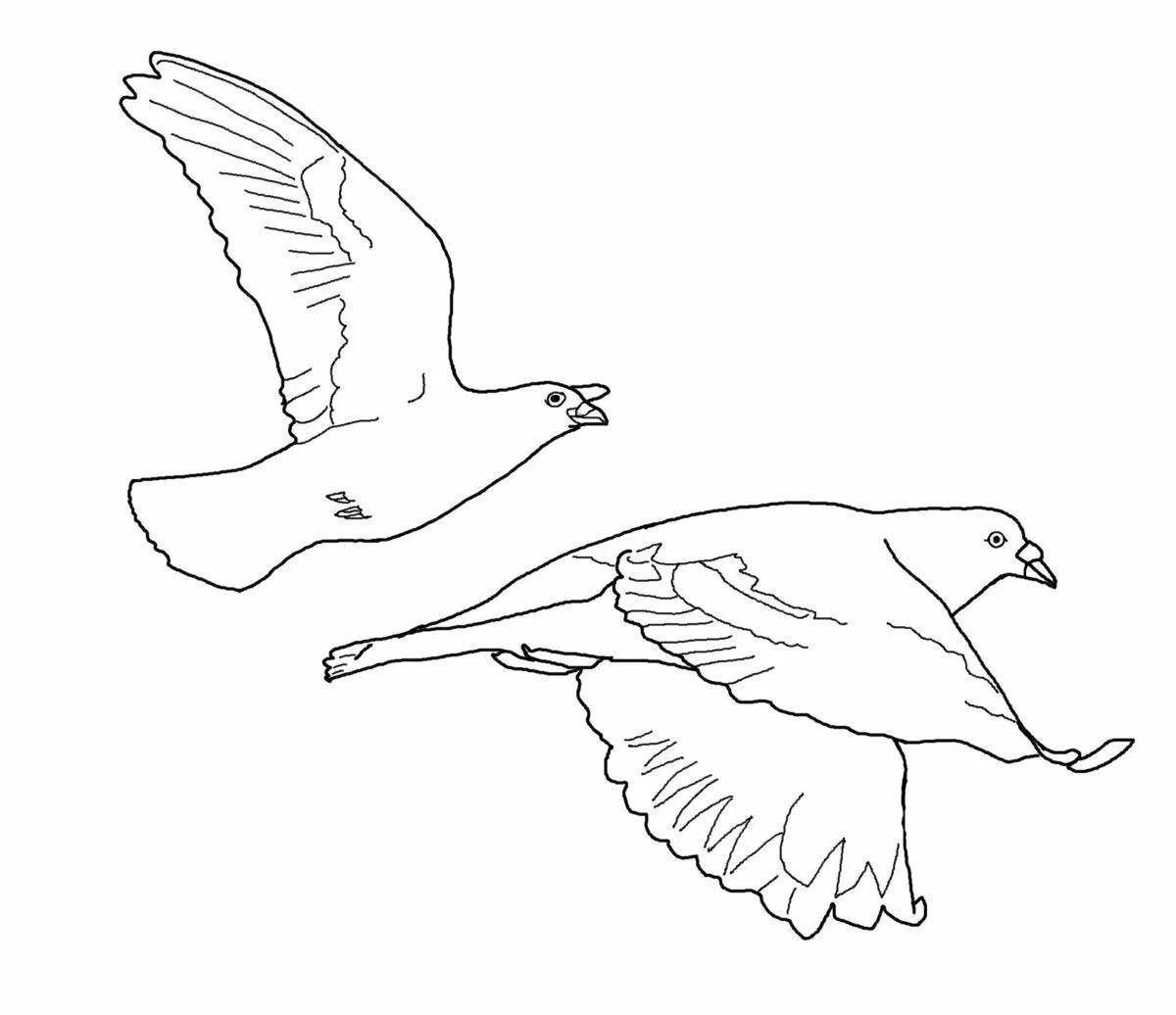 Летящая птица Раскраски скачать и распечатать бесплатно.