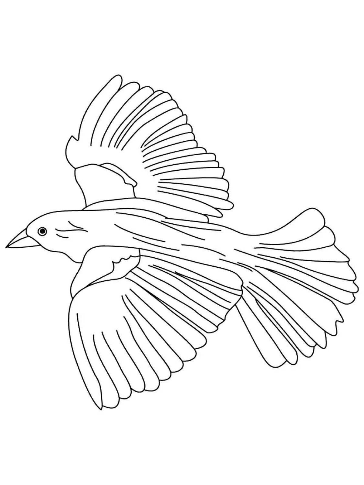 Adorable flying birds coloring page