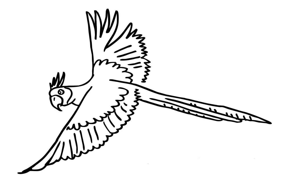 Раскраска безмятежная летящая птица
