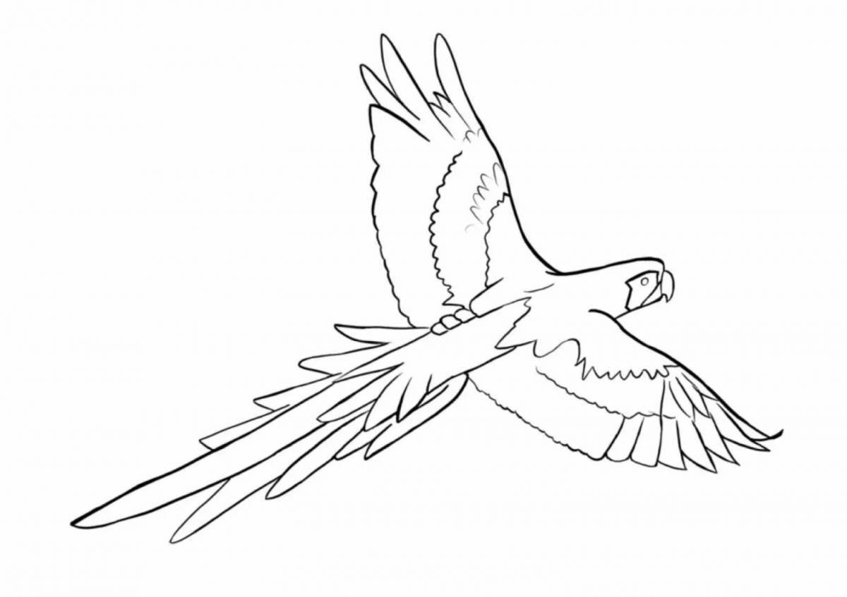 Coloring page gorgeous flying bird