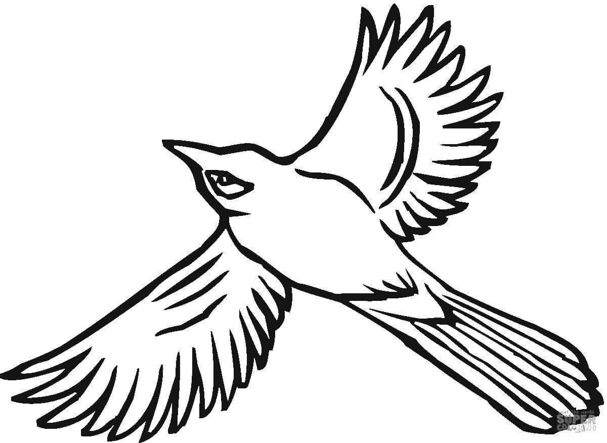 Coloring book bright flying bird