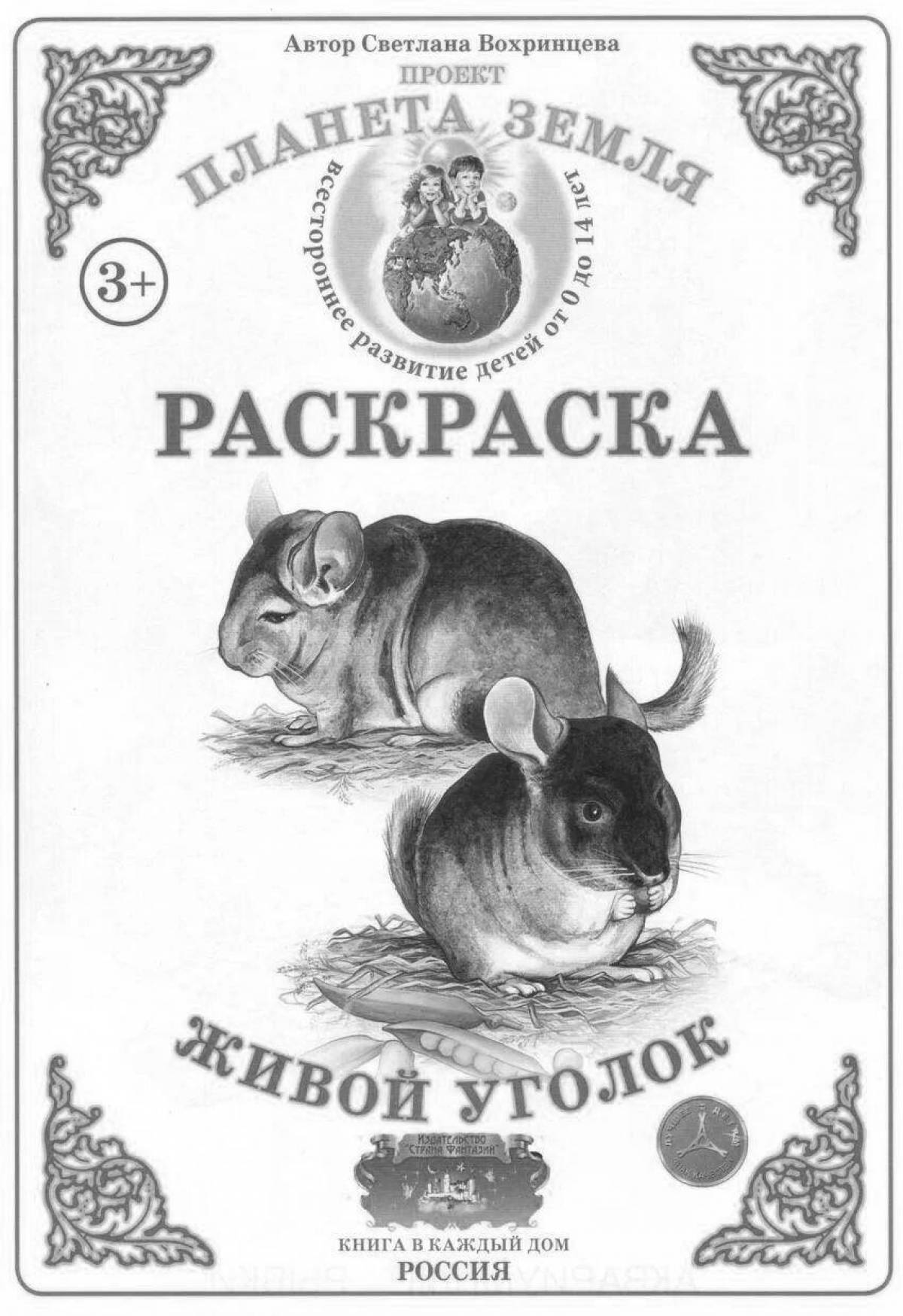 Веселая раскраска pets' corner