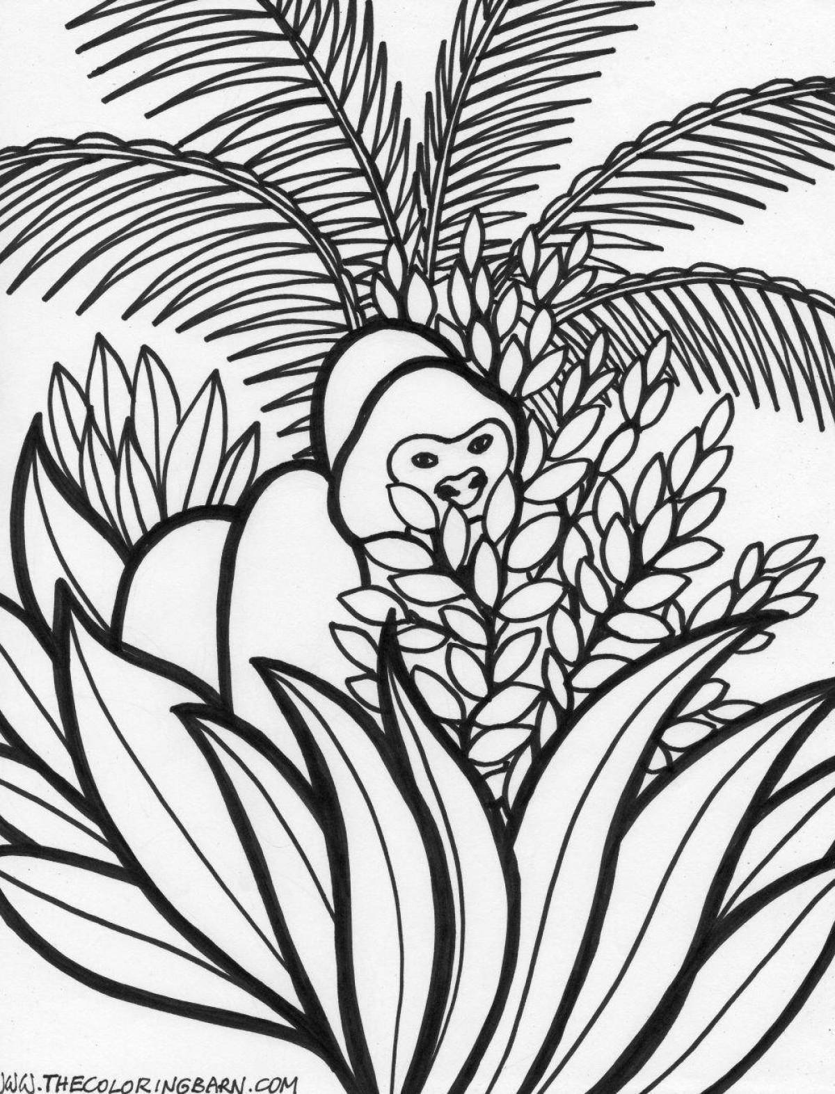 Exotic coloring pages tropical animals