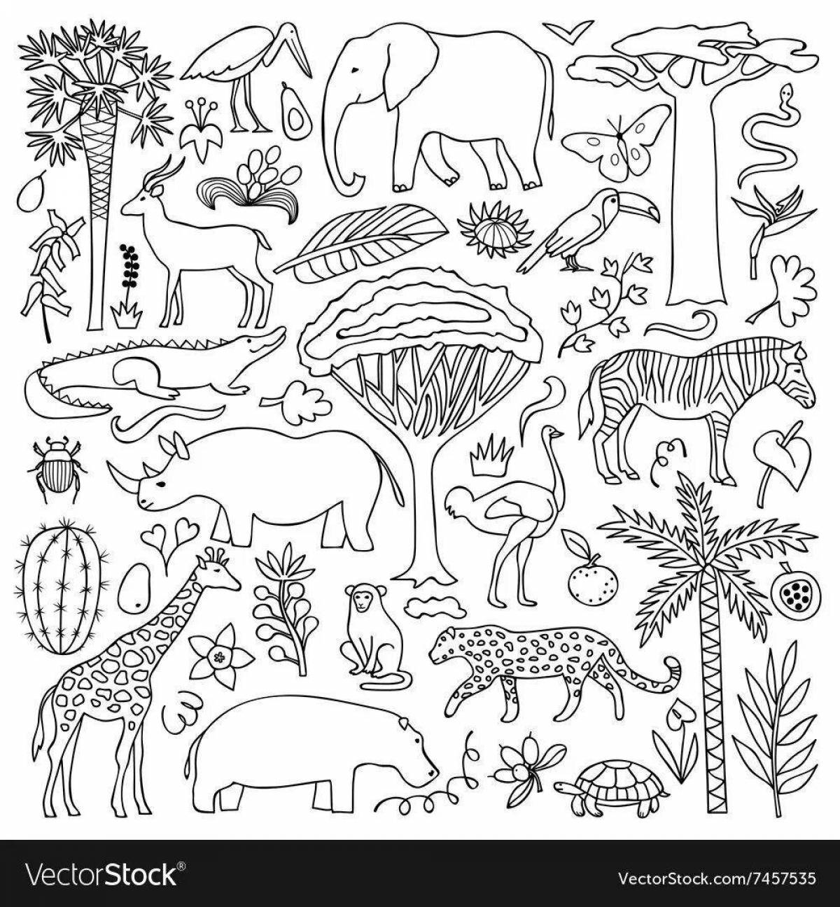 Животные и растения Африки раскраска