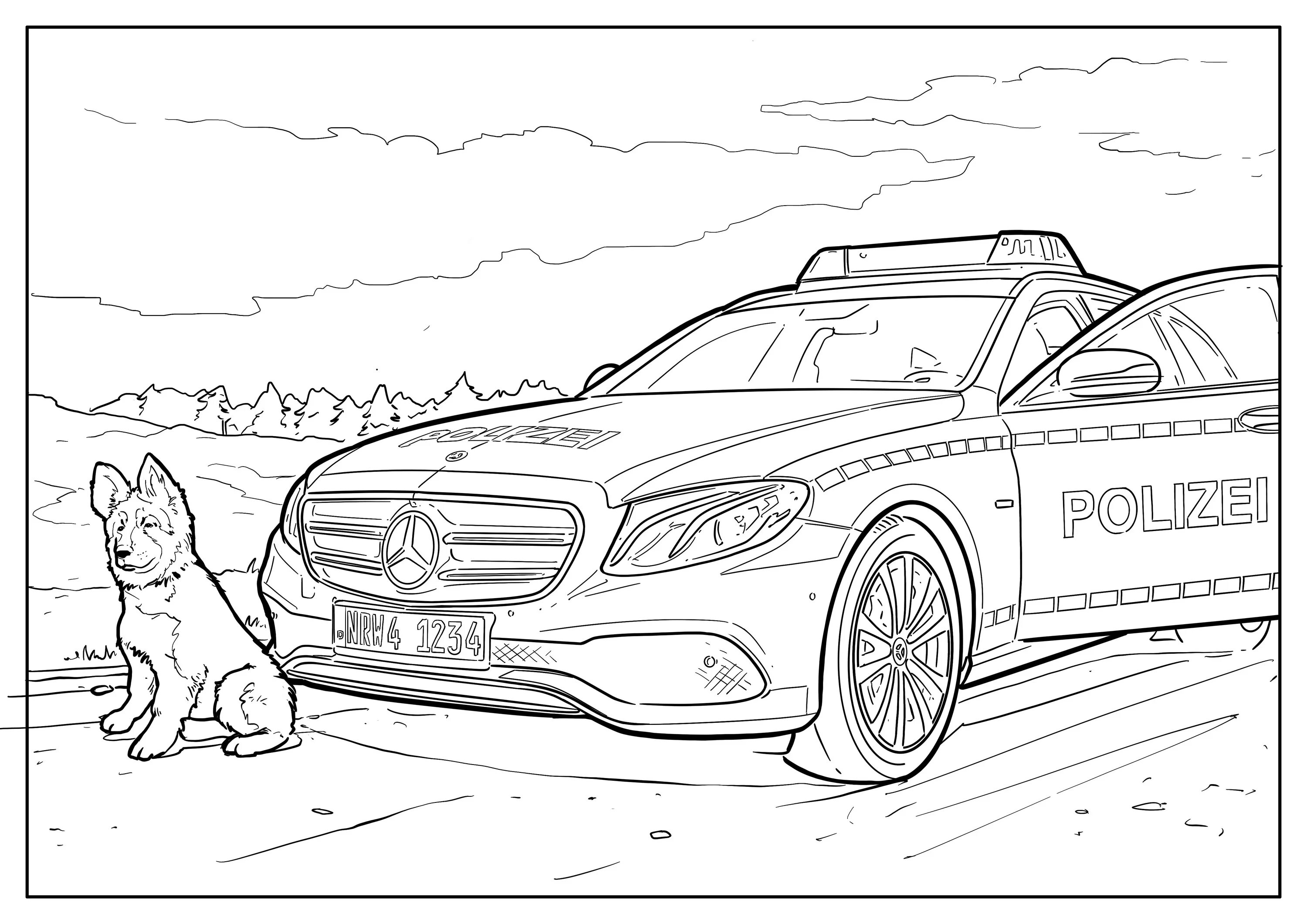 Police Mercedes #7