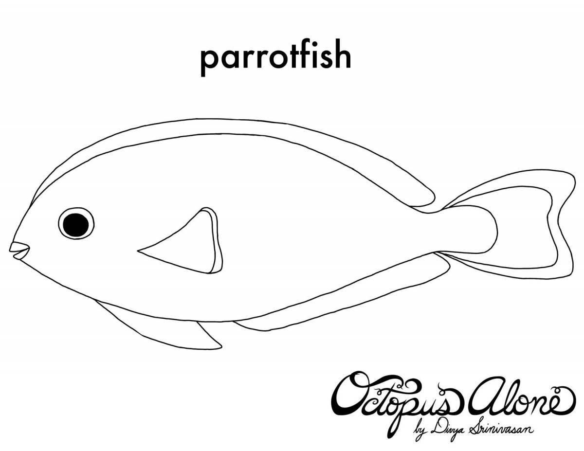 Coloring parrot fish
