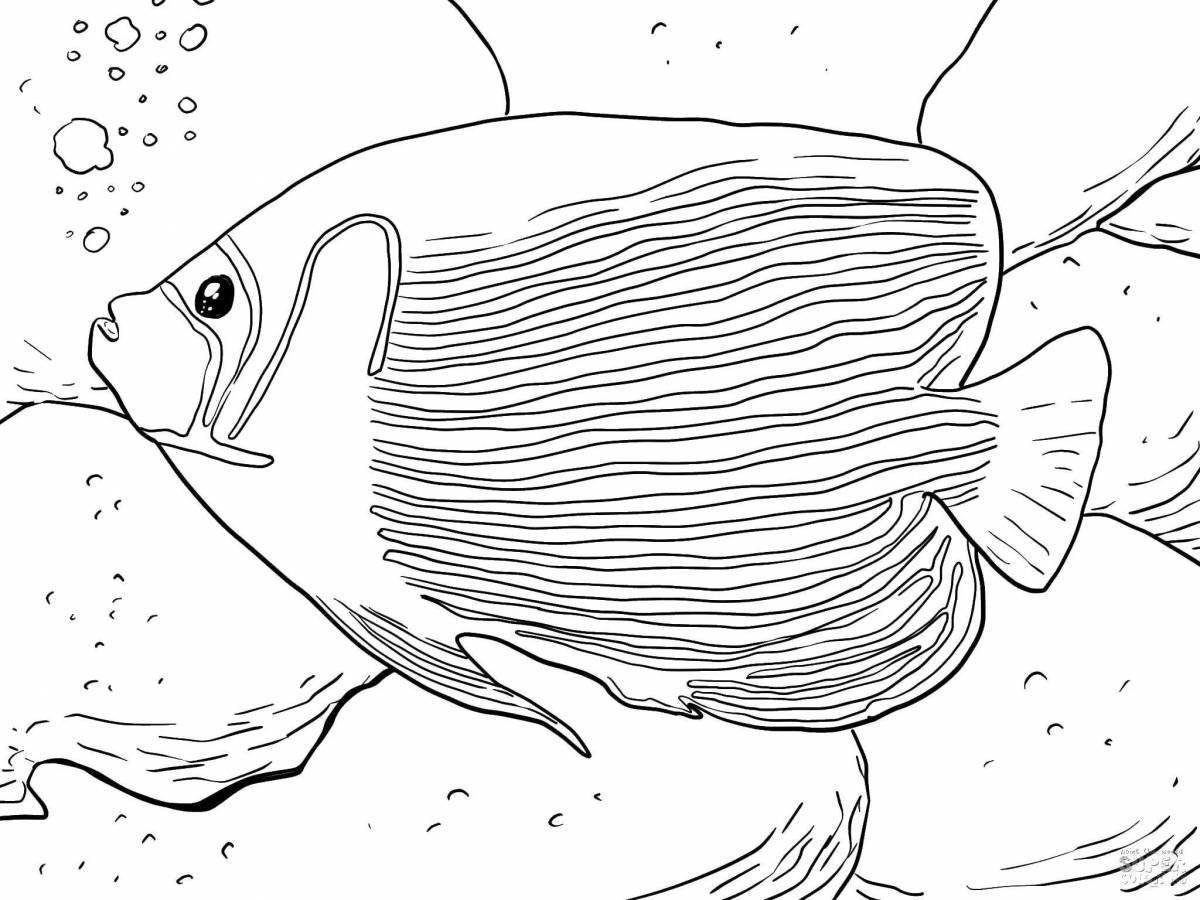 Coloring page adorable parrot fish