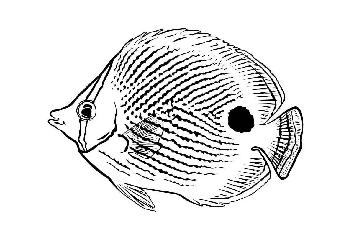 Playful parrot fish coloring page