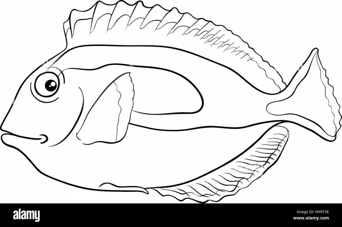 Colouring funny parrot fish
