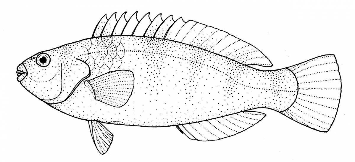 Adorable parrot fish coloring book