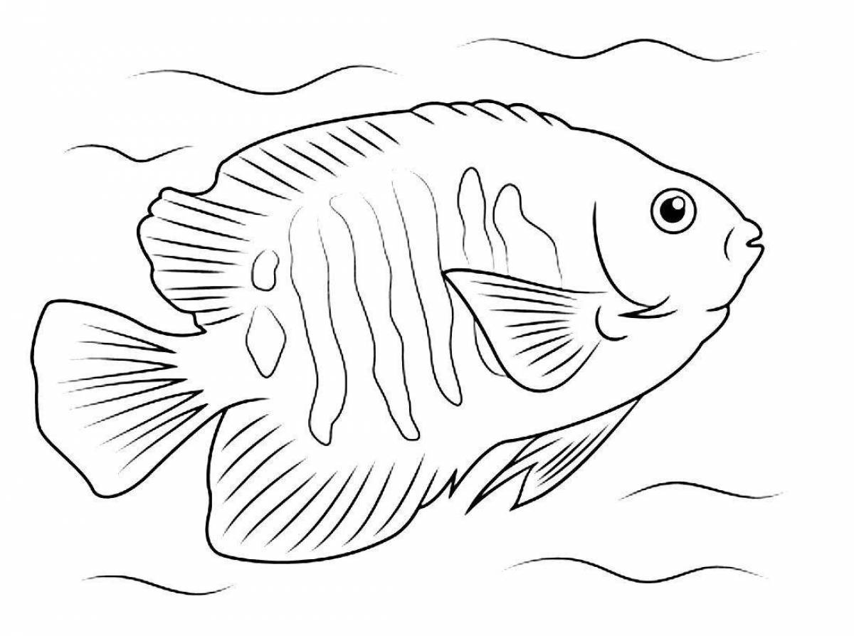 Coloring page spectacular parrotfish
