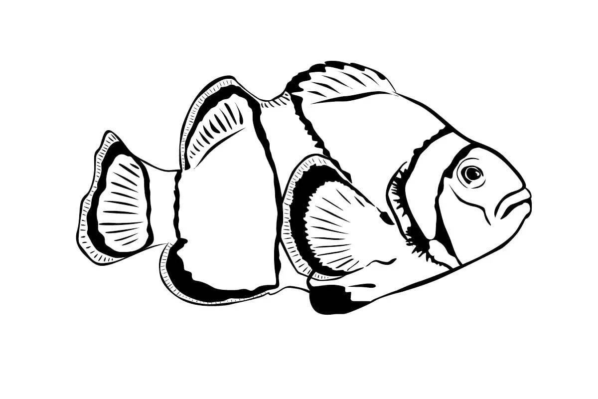 Marvelous parrot fish coloring book