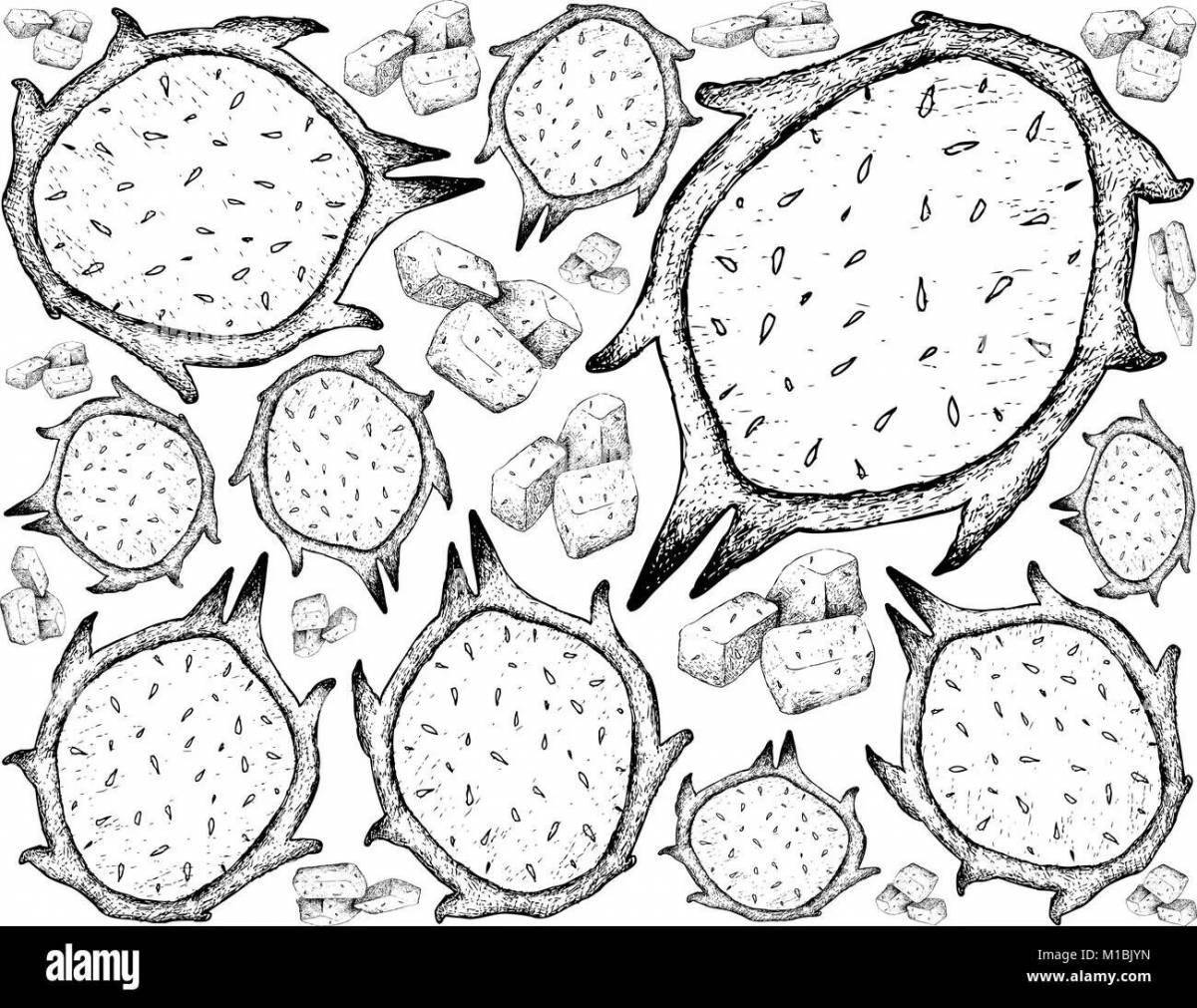 Dragon fruit coloring page