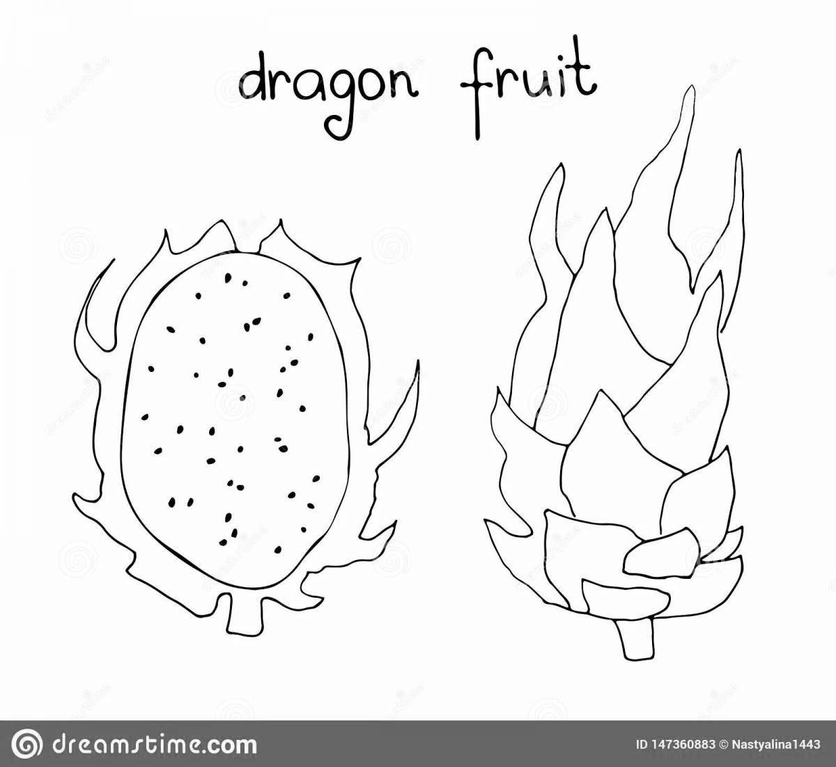 Coloring book bold dragon fruit