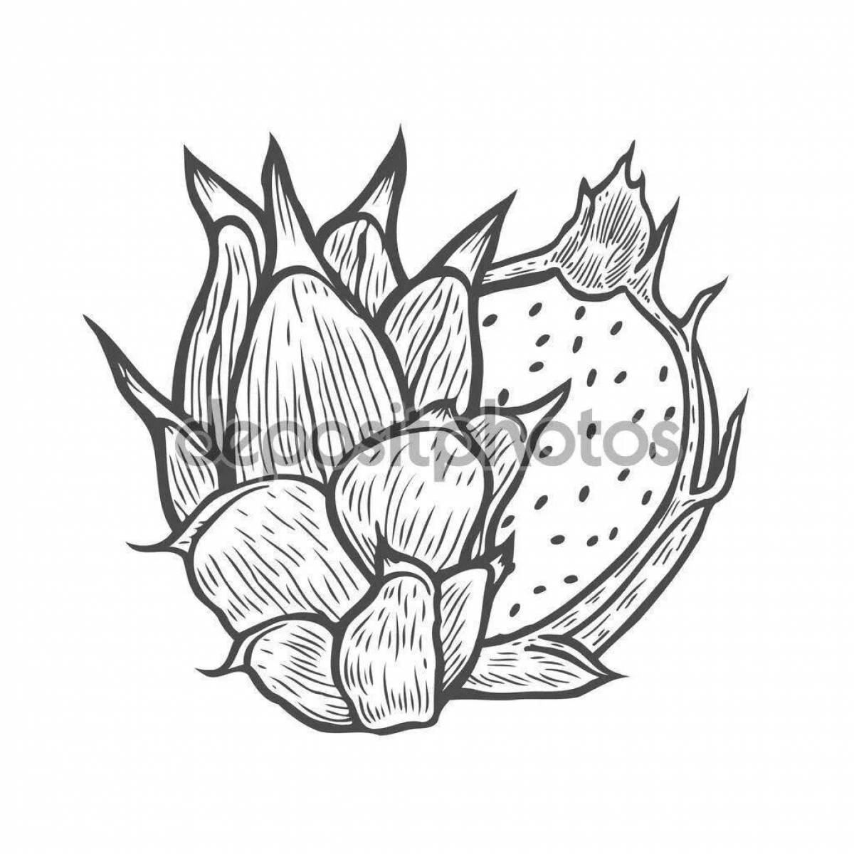 Playful dragon fruit coloring page