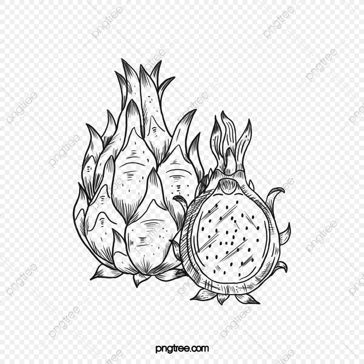 Photo Incredible dragon fruit coloring book