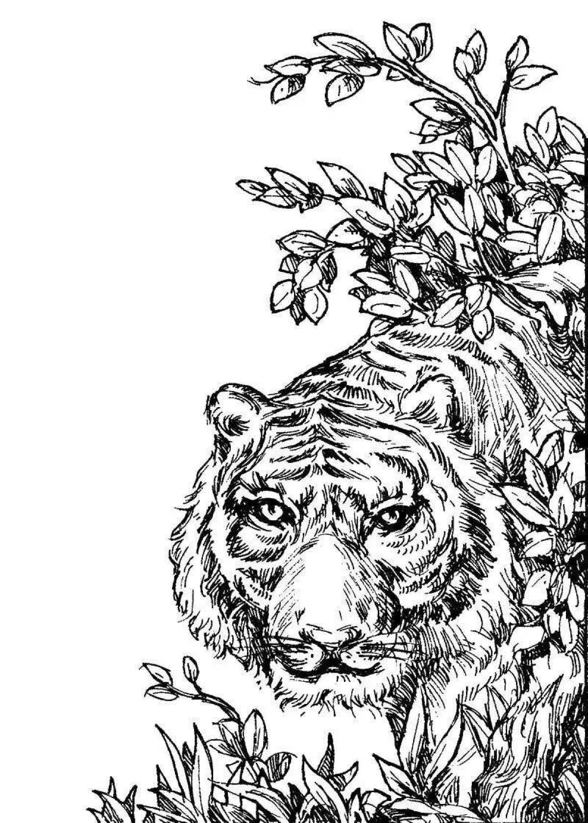 Exquisite coloring book antistress tiger cub