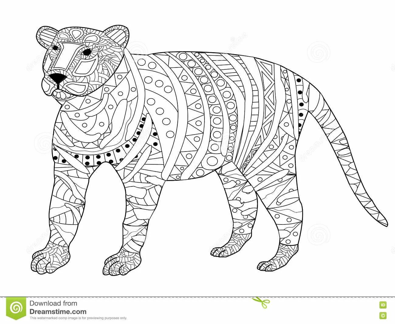 Elegant coloring book antistress tiger cub