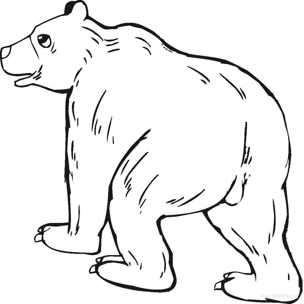 Puffy coloring animals bear