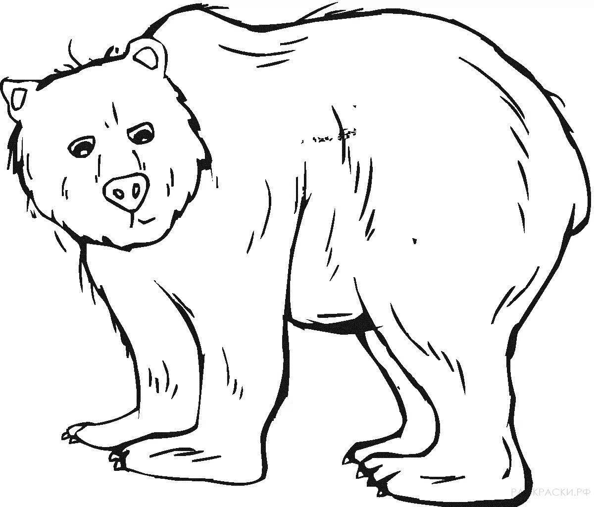 Нежная раскраска животные медведь