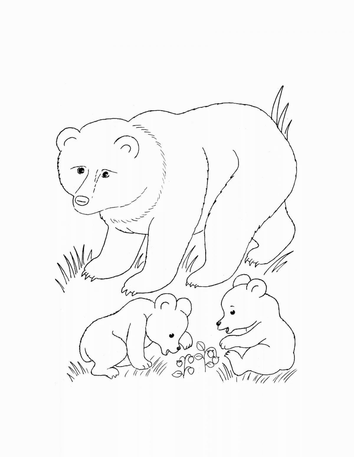 Большеглазая раскраска животные медведь