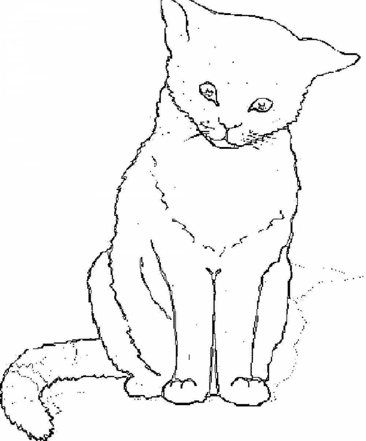 Раскраска безмятежный белый кот