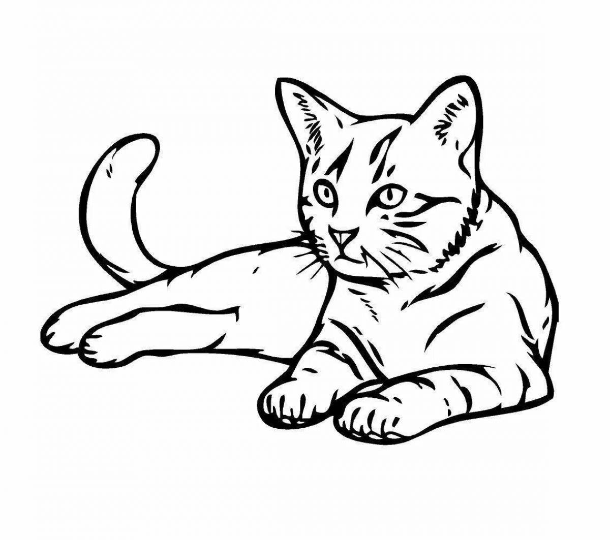 Colorful white cat coloring page