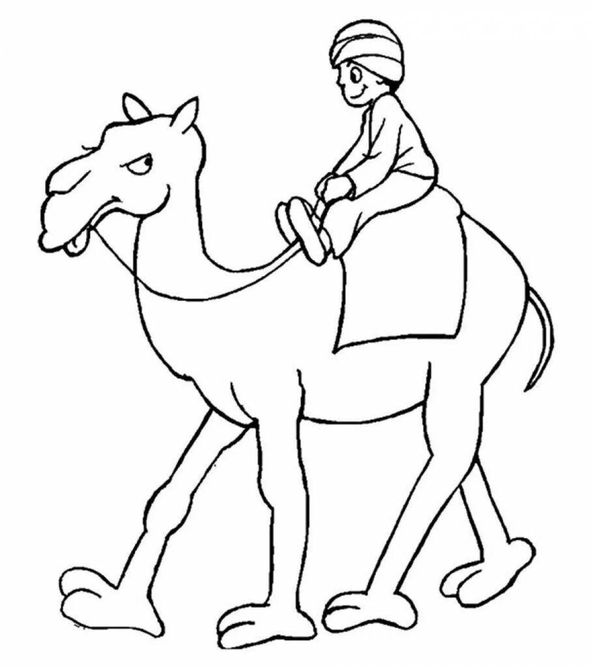 Раскраска верблюд с человеком