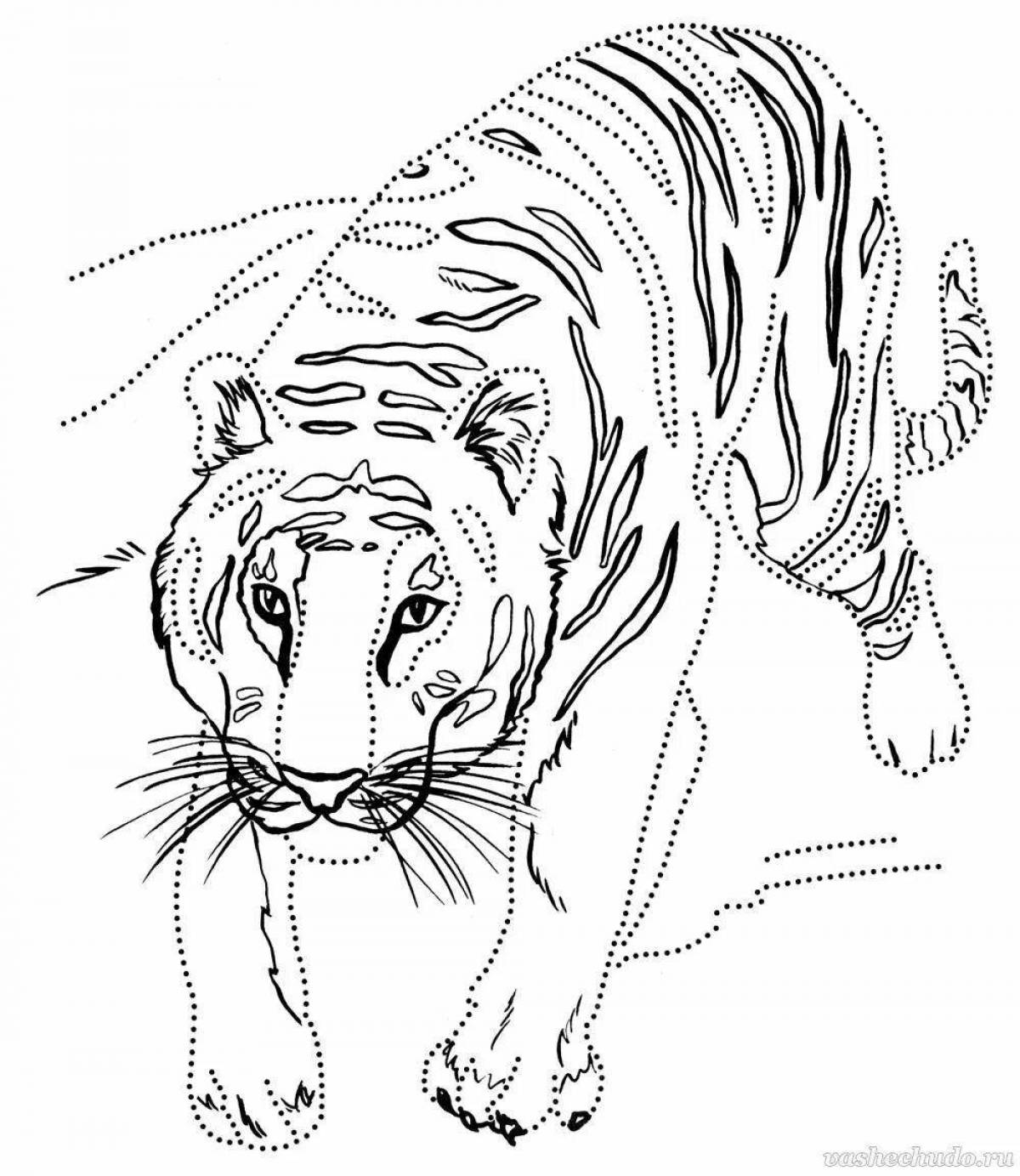 Тигр раскраска детская