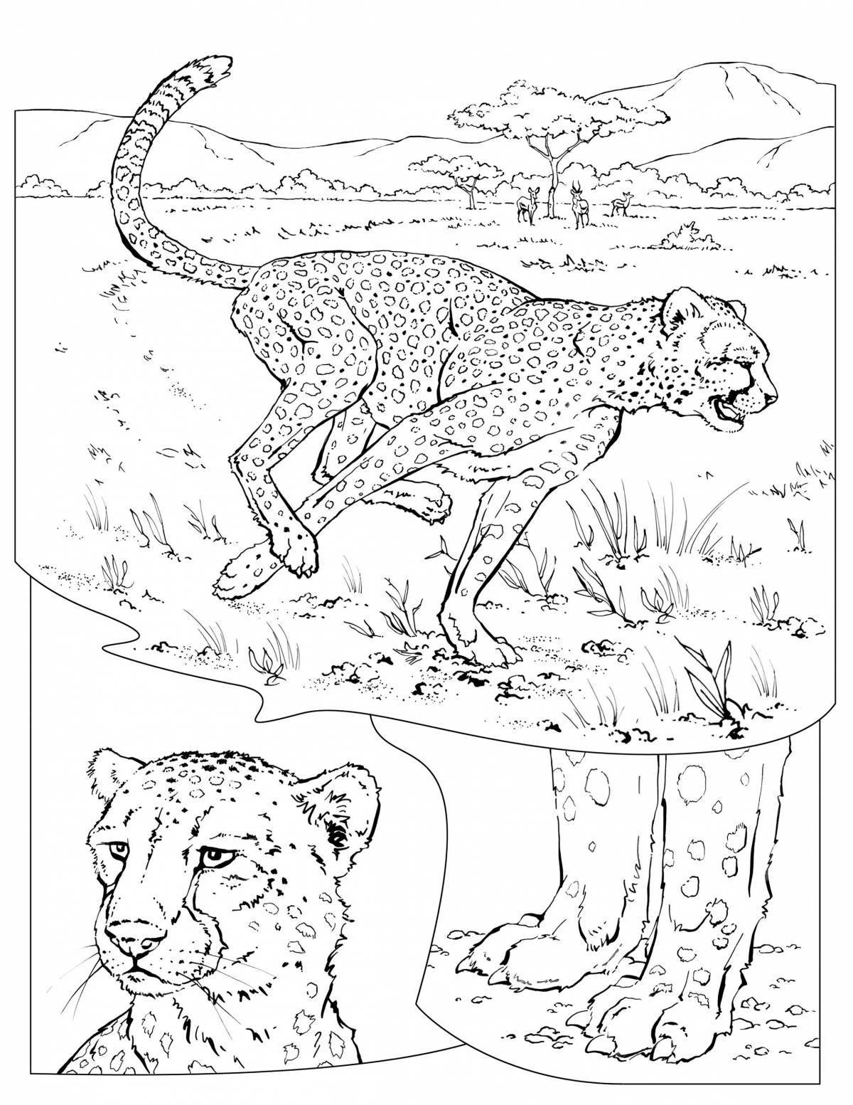 Aggressive carnivore coloring pages