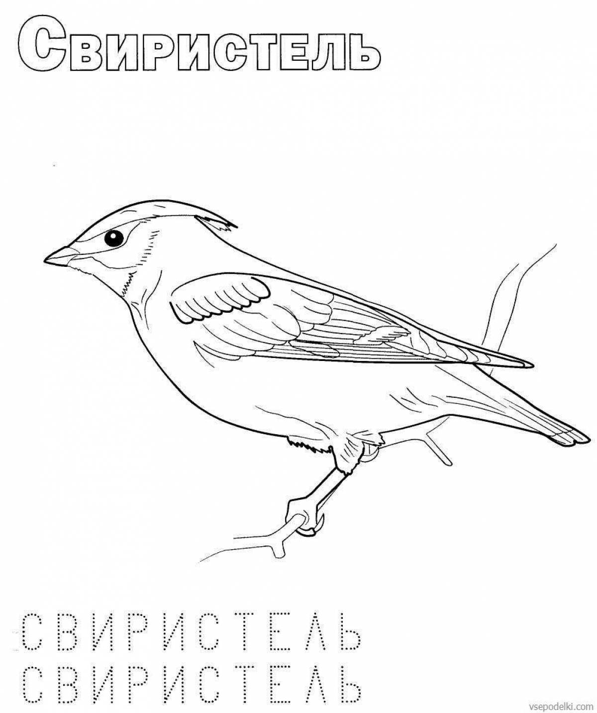 Colorful waxwing coloring page