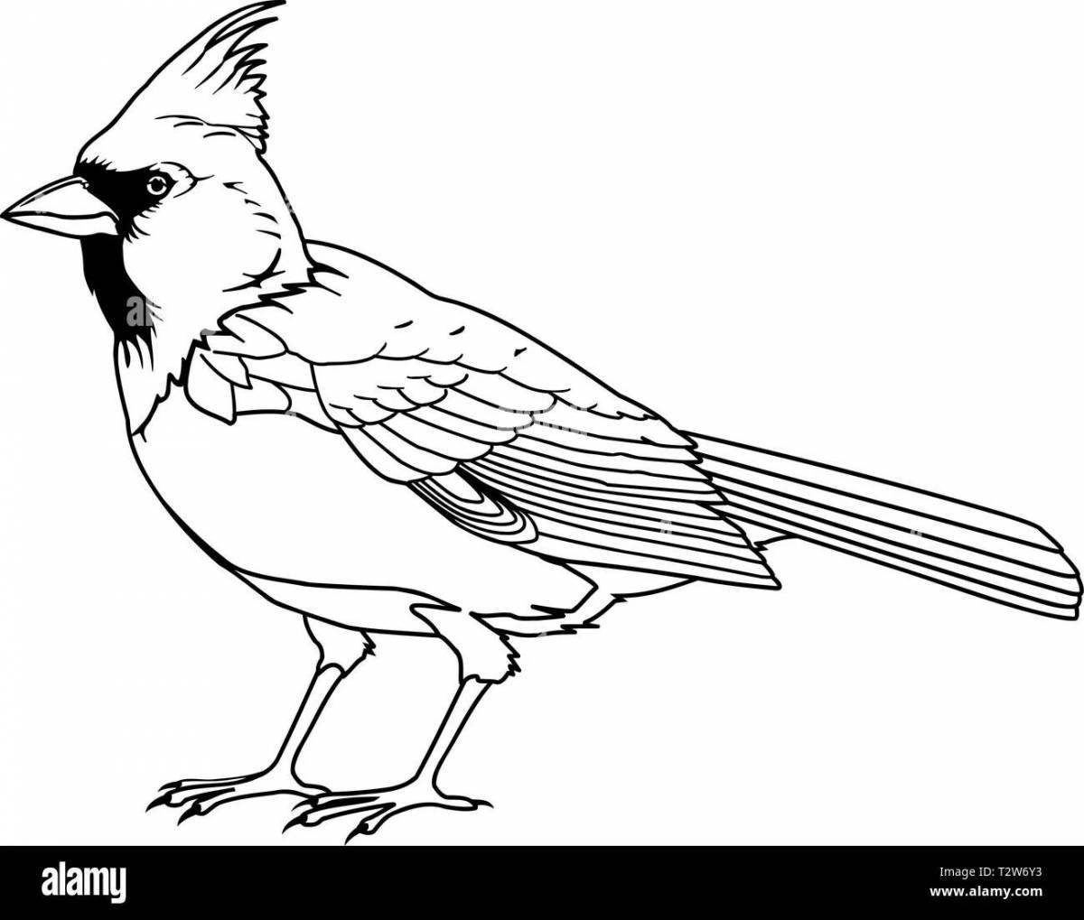 Coloring page graceful waxwing bird