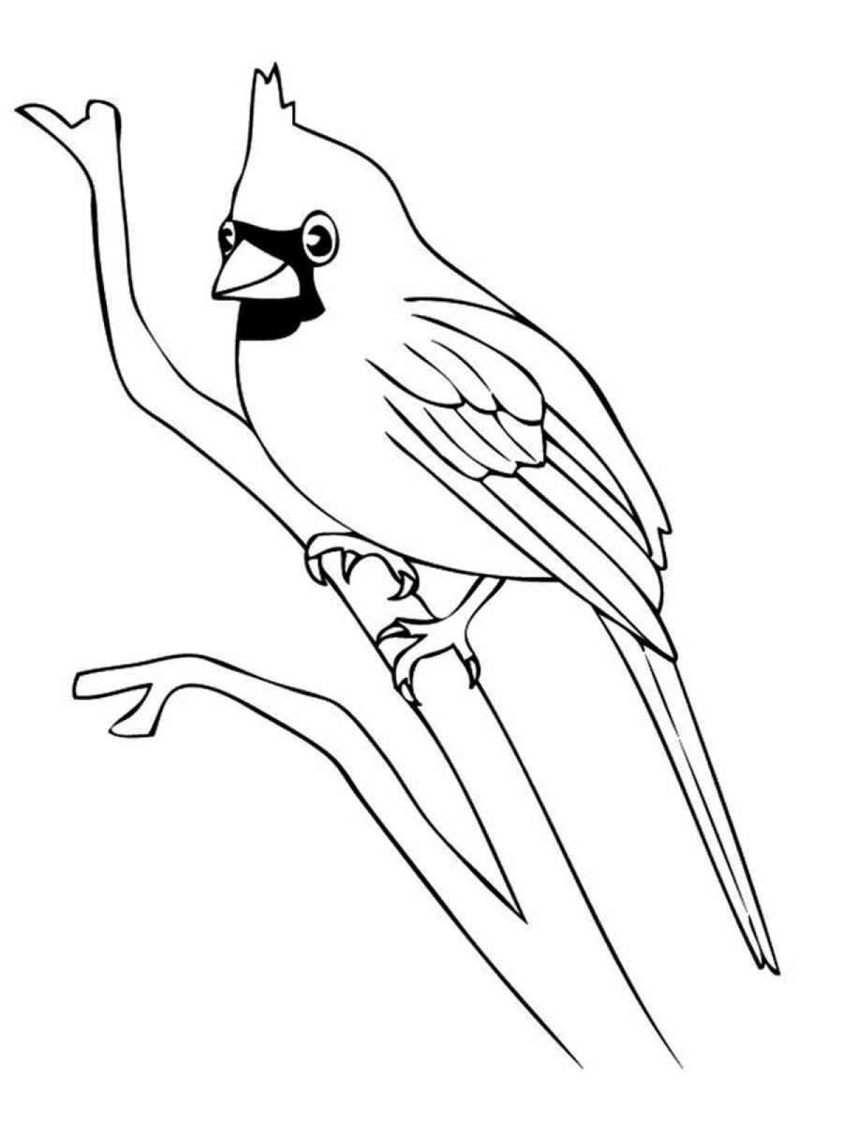 Coloring book shiny bird waxwing