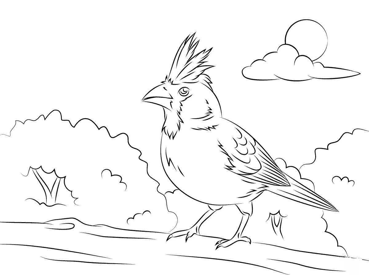 Coloring page dazzling waxwing bird