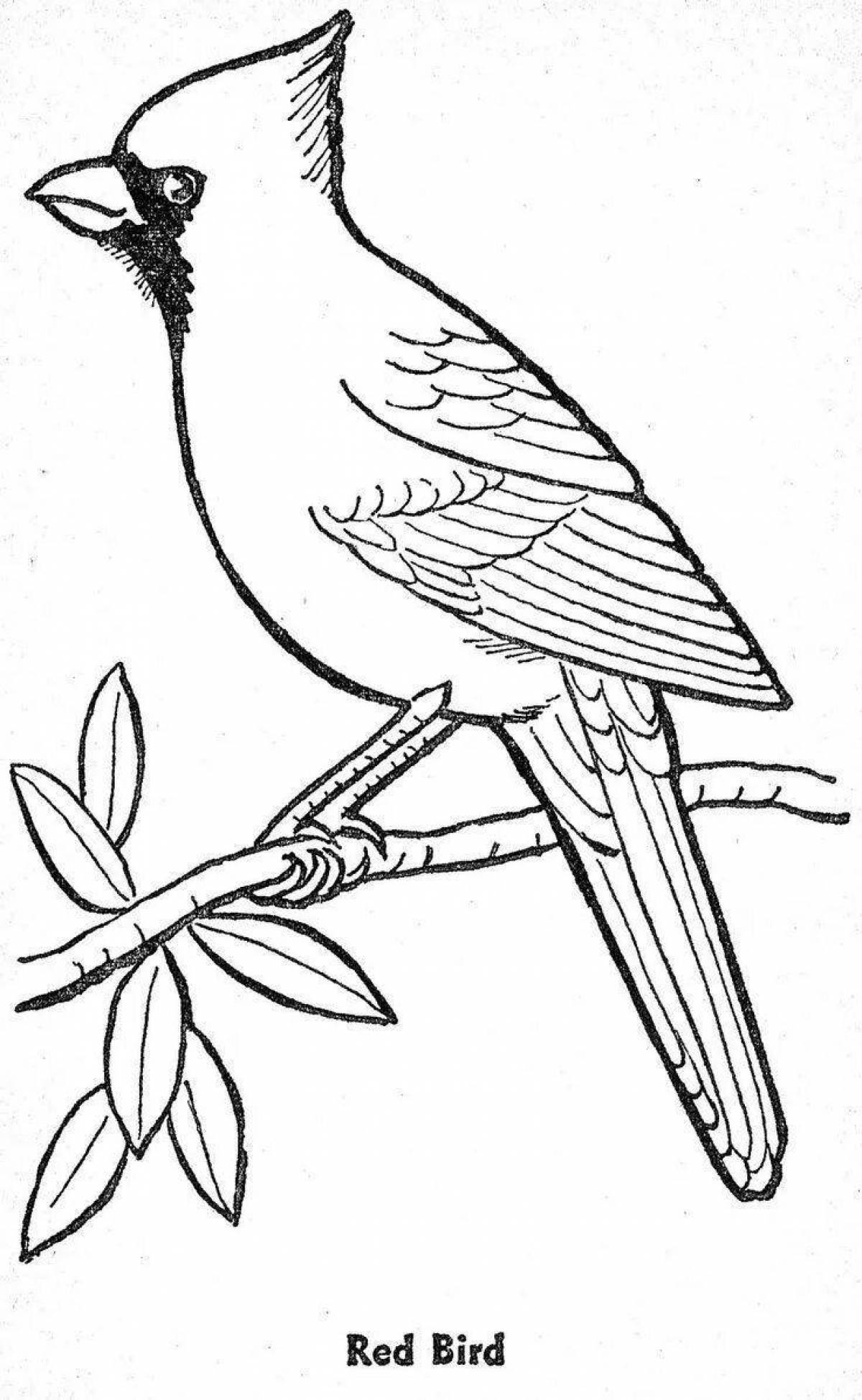 Coloring page serene waxwing bird