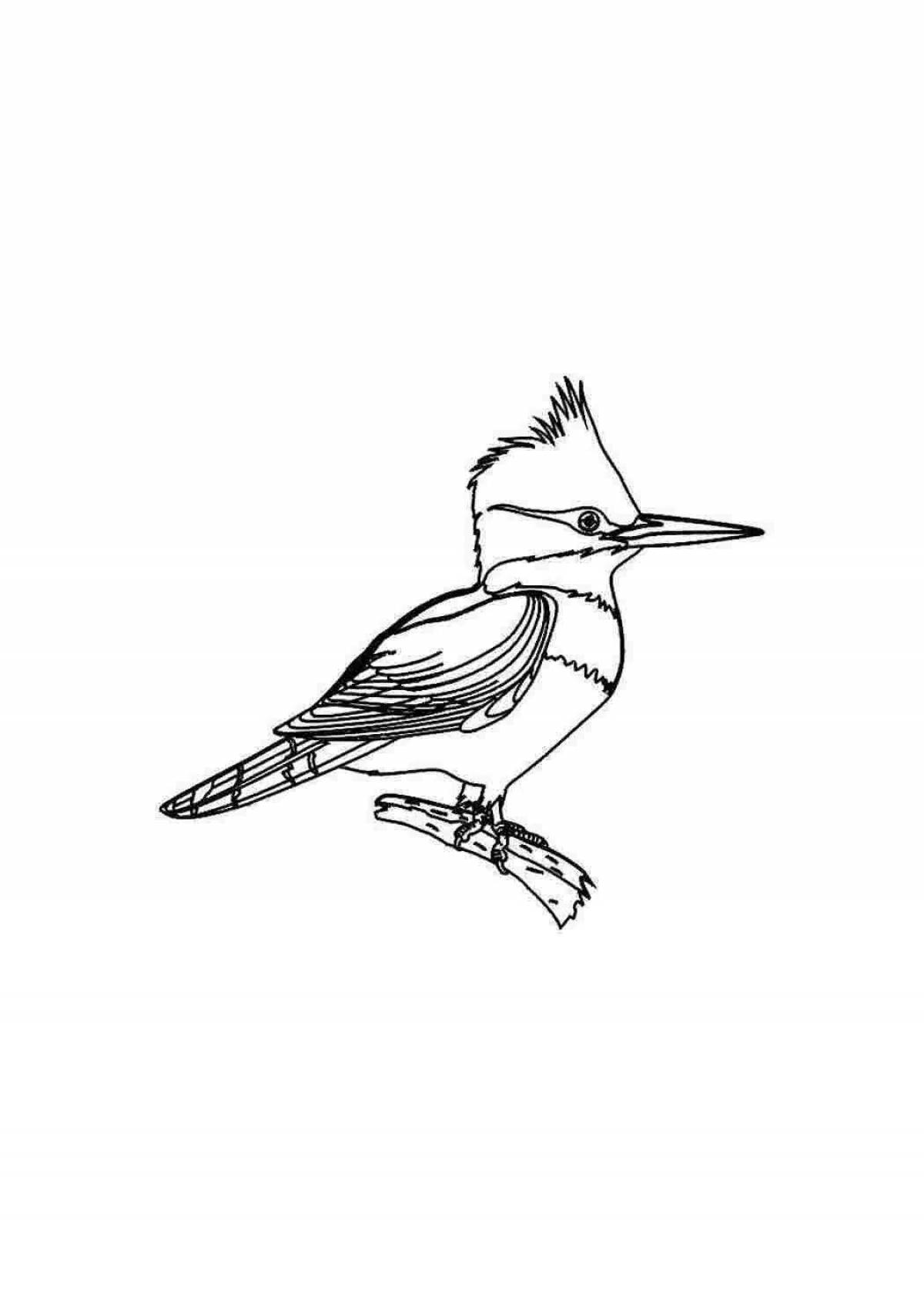 Intricate waxwing bird coloring page