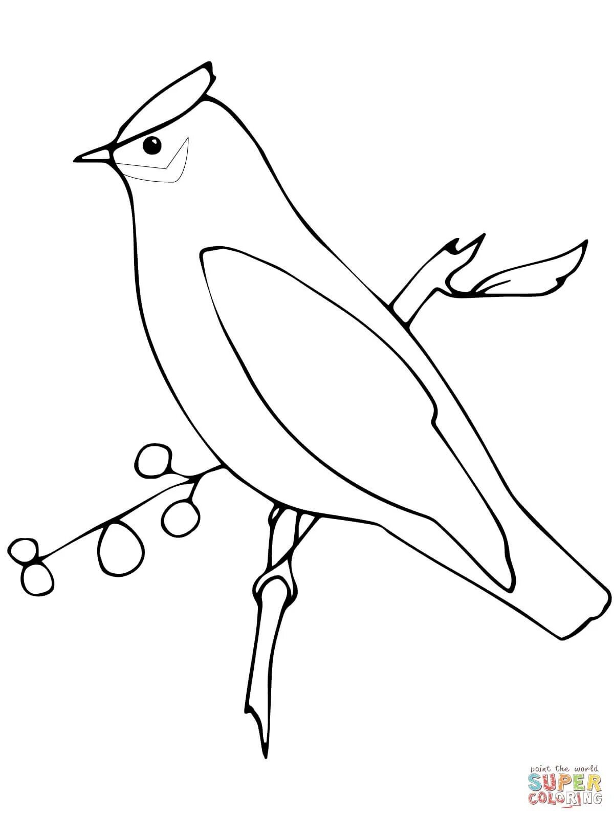 Coloring page wild bird waxwing