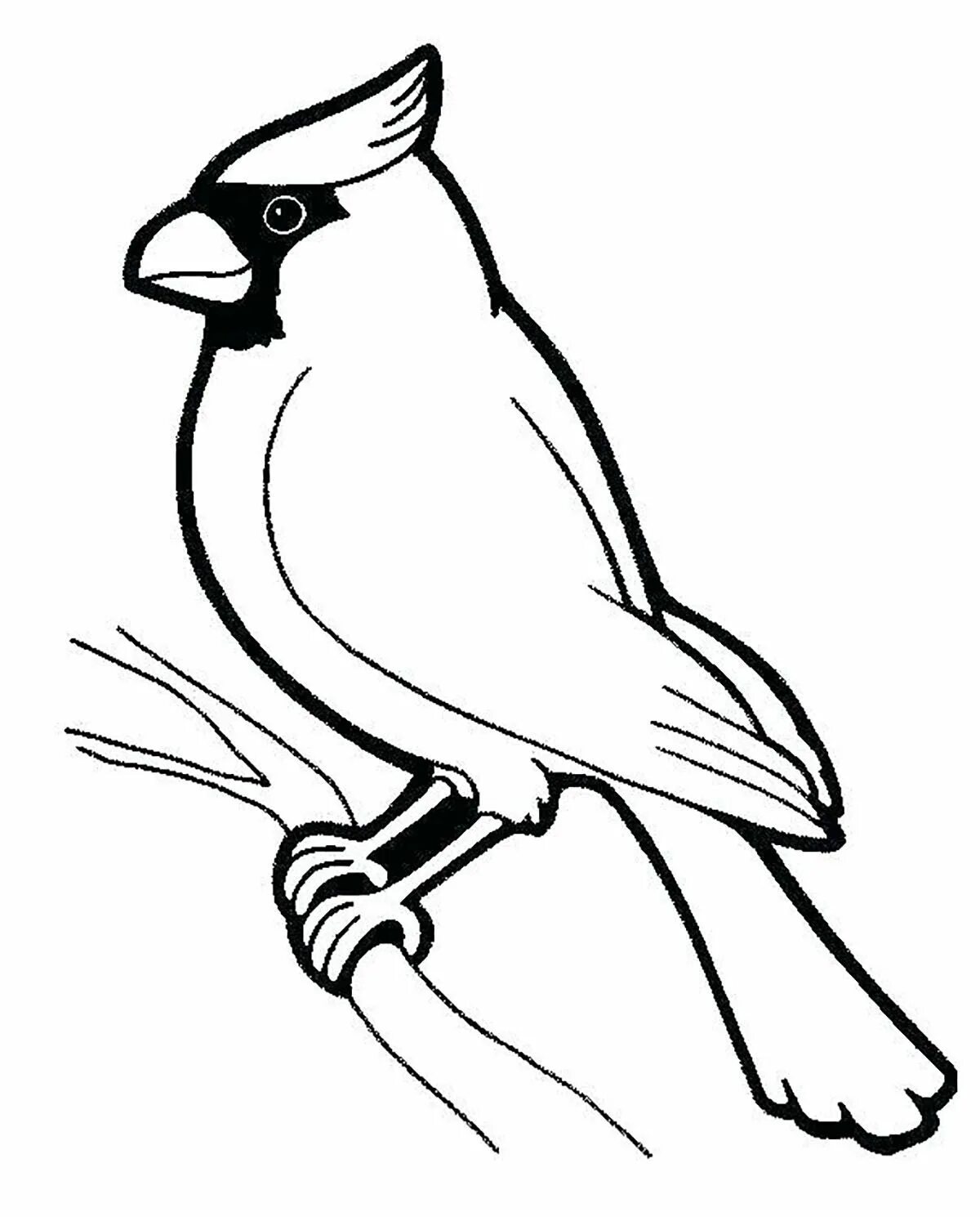 Coloring page magnanimous waxwing bird