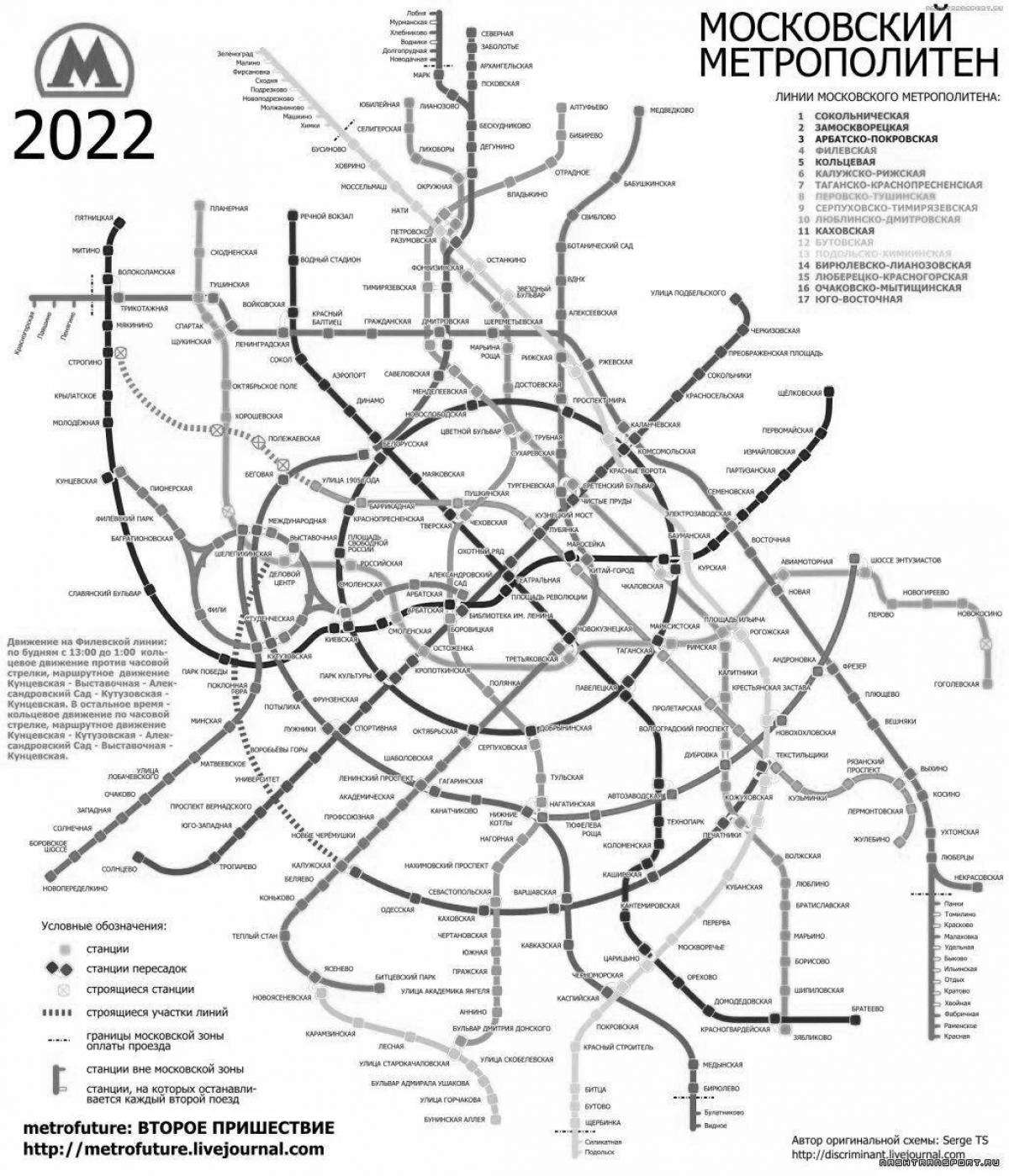 Colorful intricate coloring subway map