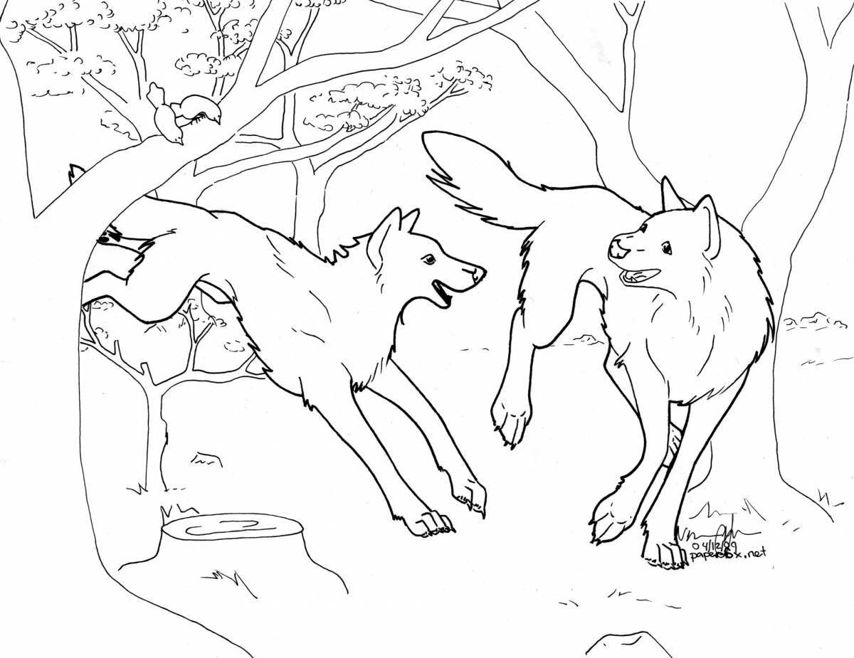 Coloring page fluffy winter wolf