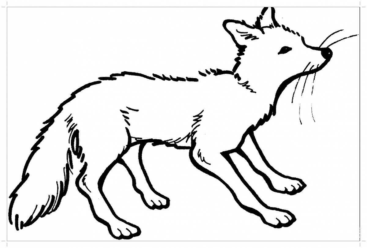 Раскраска морозный белый зимний волк