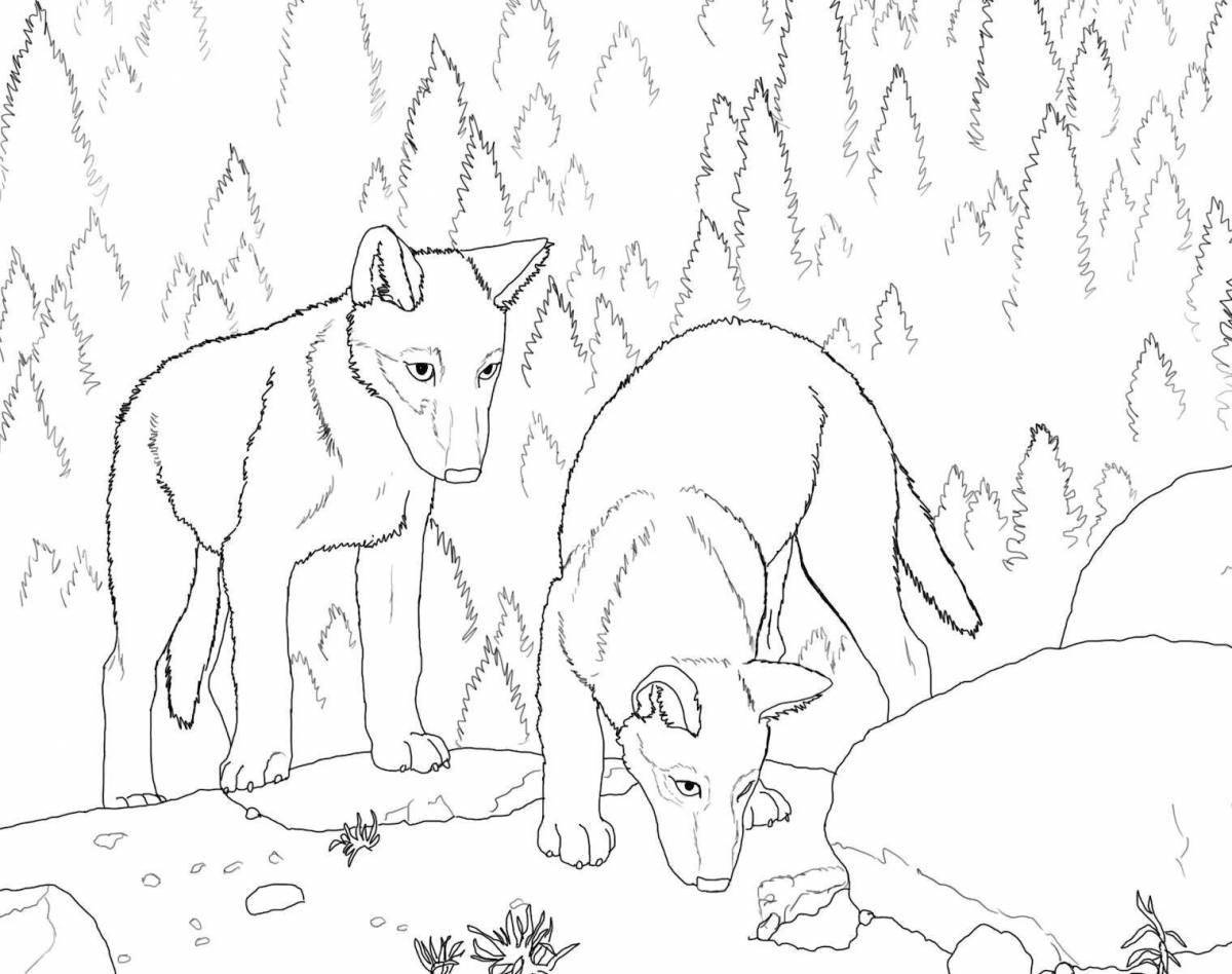 Coloring page howling white winter wolf