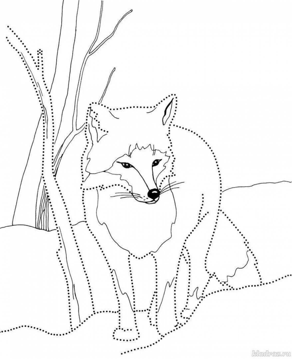 Coloring book ferocious white winter wolf