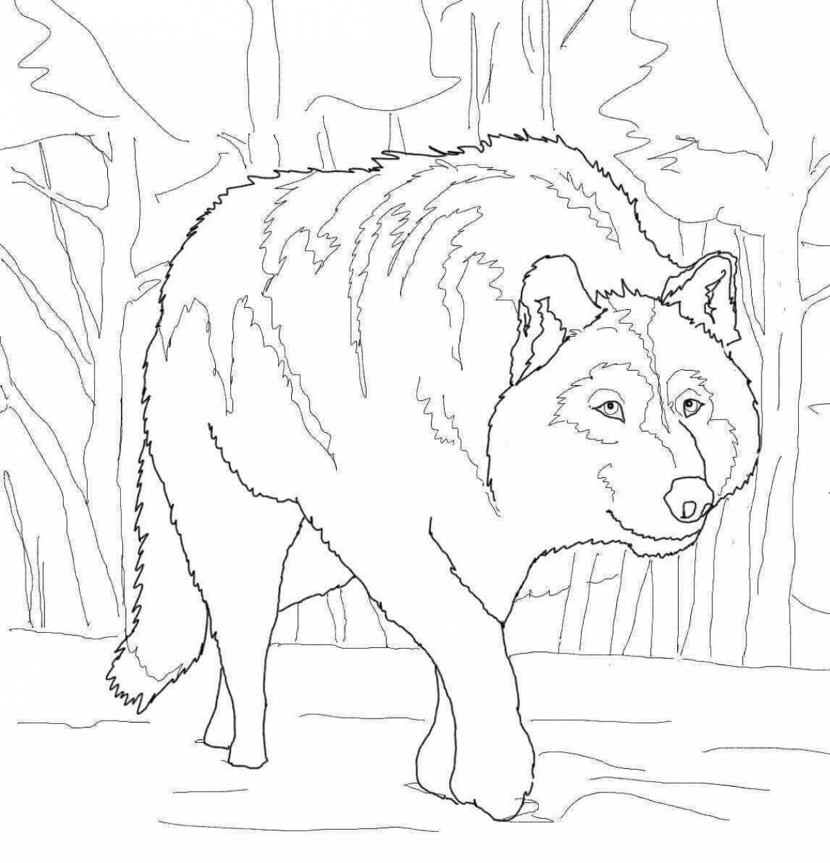 Cosy black winter wolf coloring page