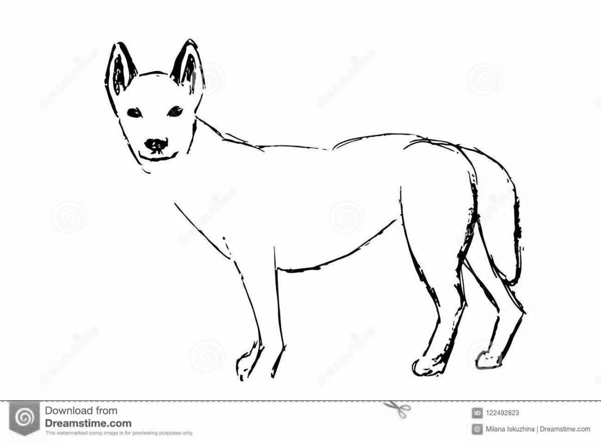 Colouring funny dingo dog