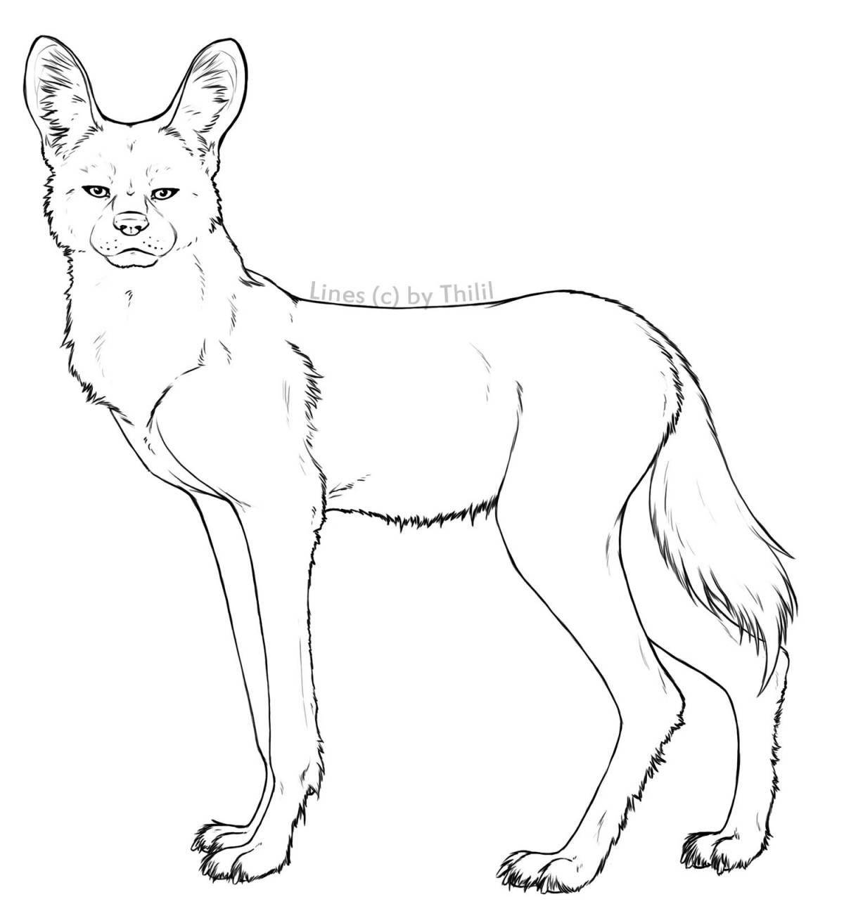 Majestic dingo coloring page