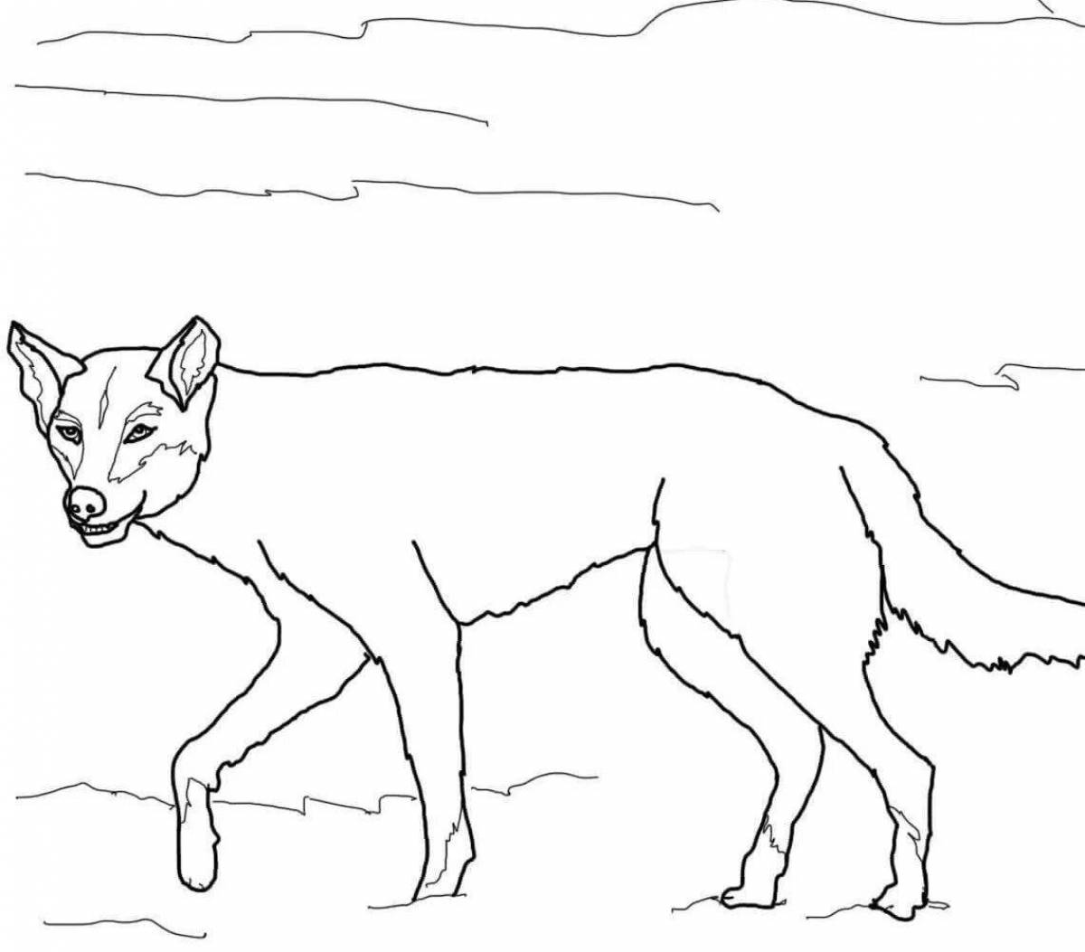 Coloring page brave dingo dog