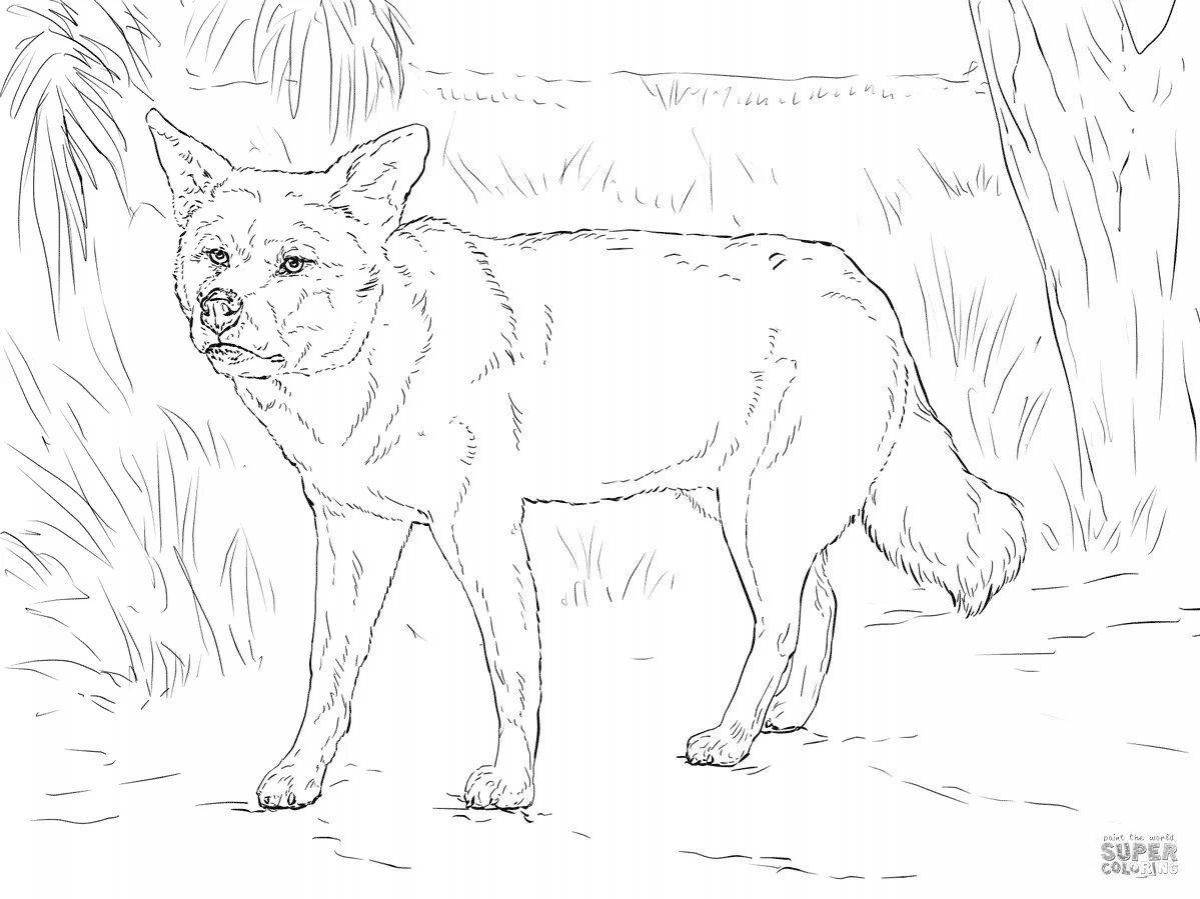 Coloring page friendly dingo dog